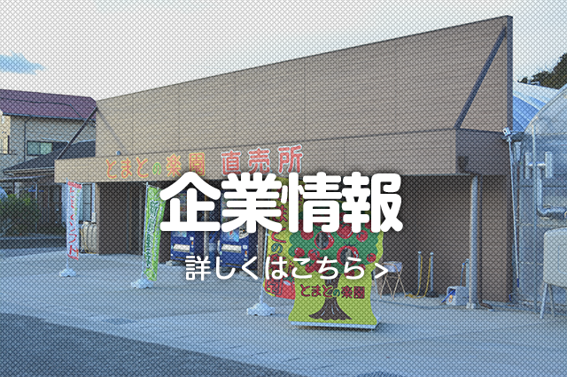 企業情報