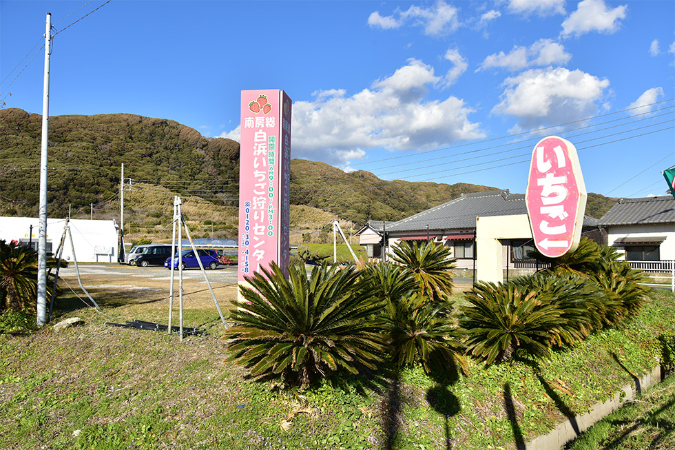 白浜いちご狩りセンター