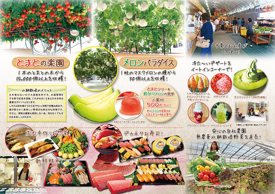 たんぽぽ農園の最新情報